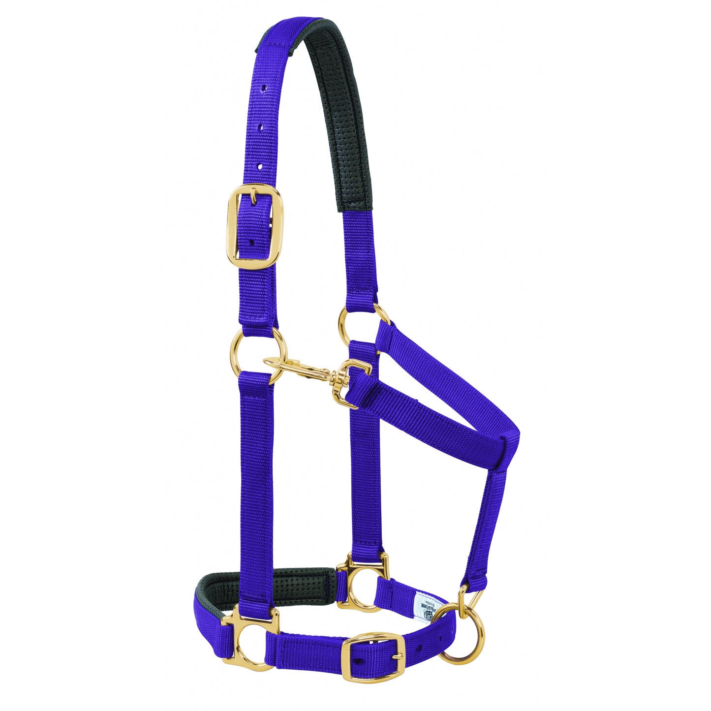 5-841183-purple.jpg