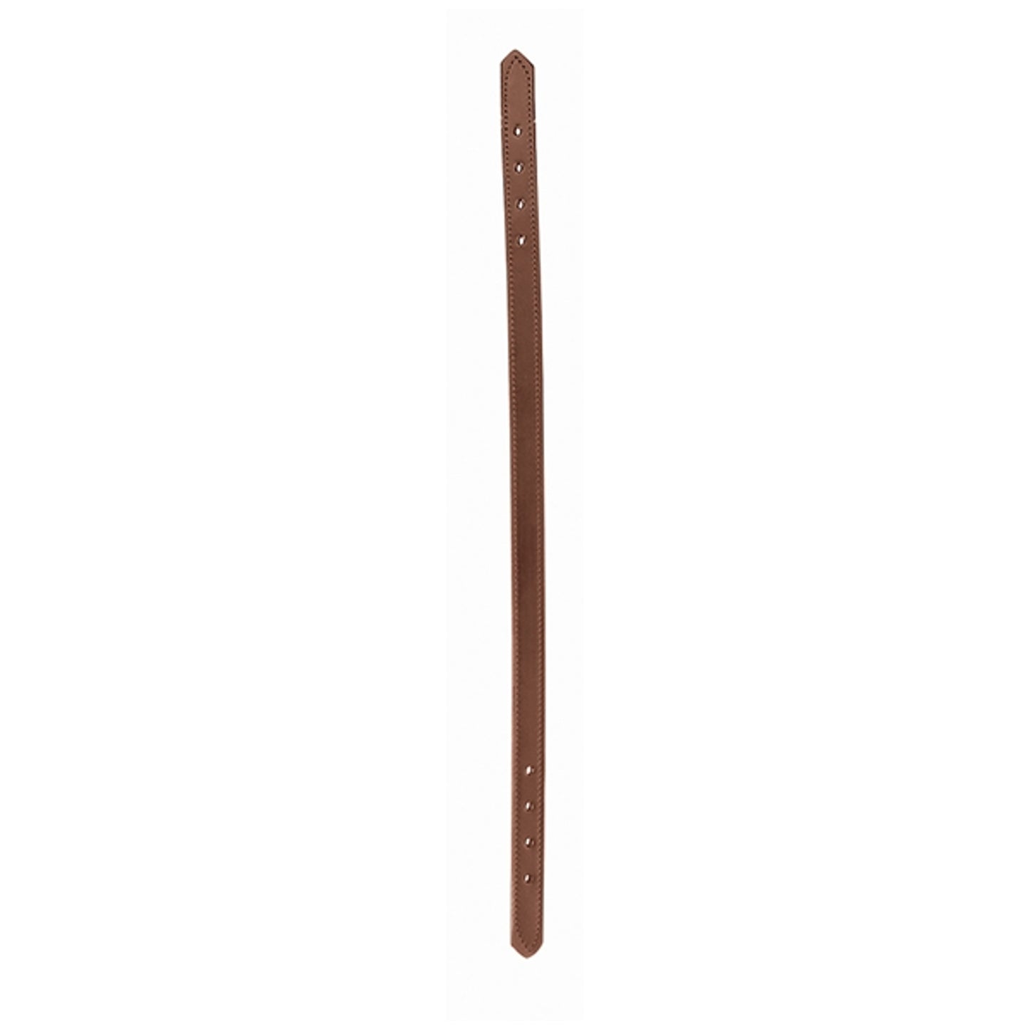 5-849500_havana.jpg