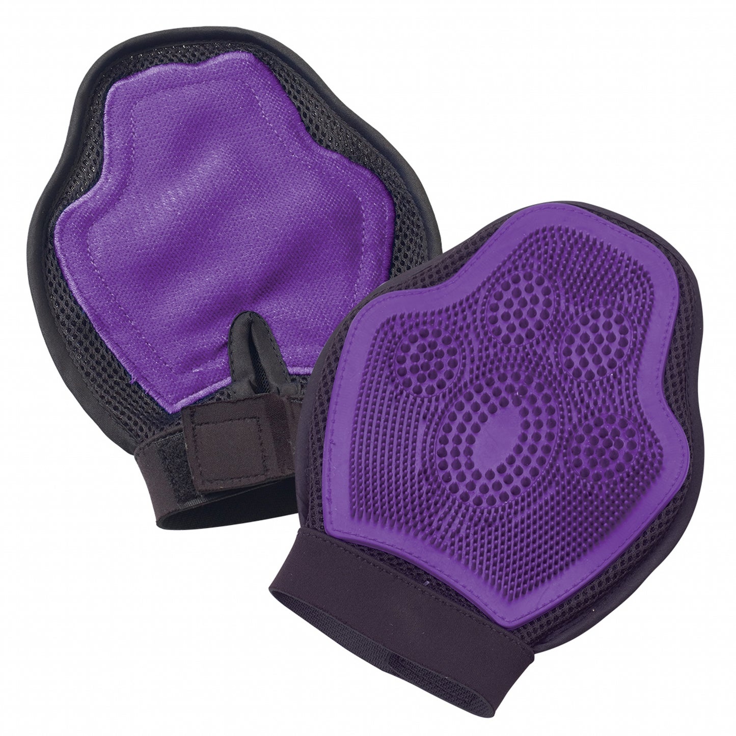5-858102-purple.jpg