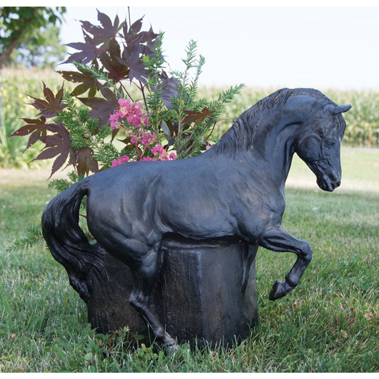 5-868376-horsepot.jpg