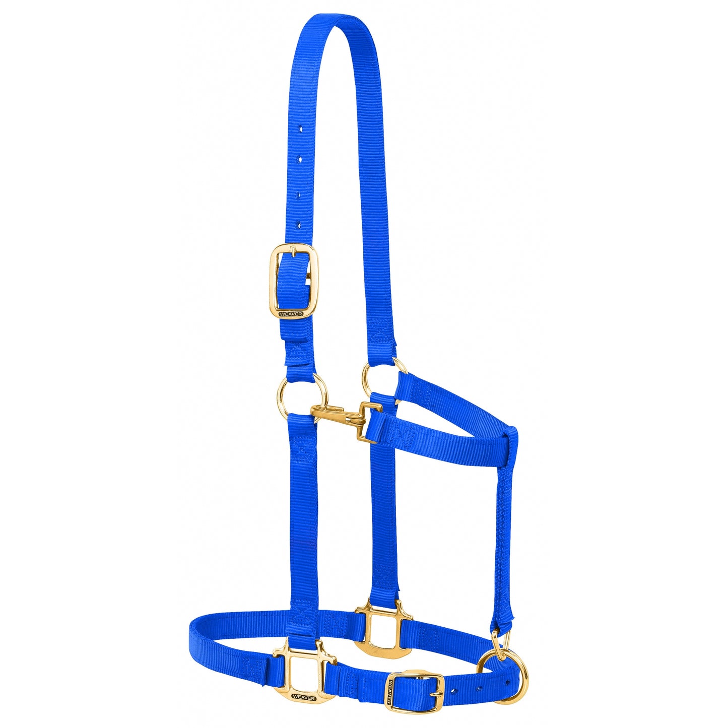 5-876270-blue.jpg