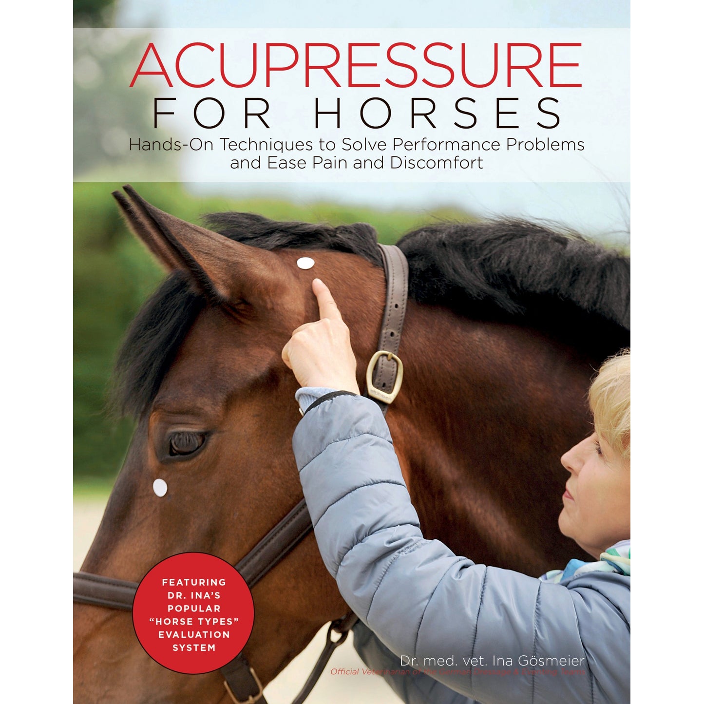 5-876471-acupressureforhorses.jpg