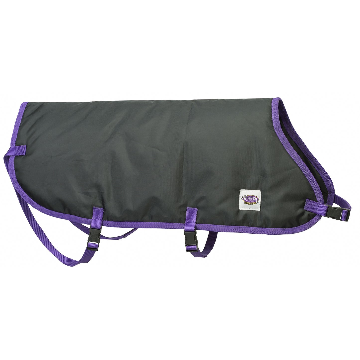 5-876919-blackpurple.jpg