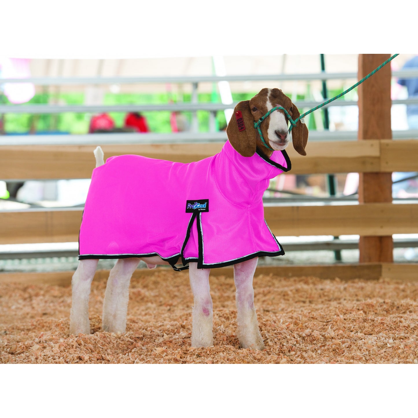 5-876965-hotpink.jpg