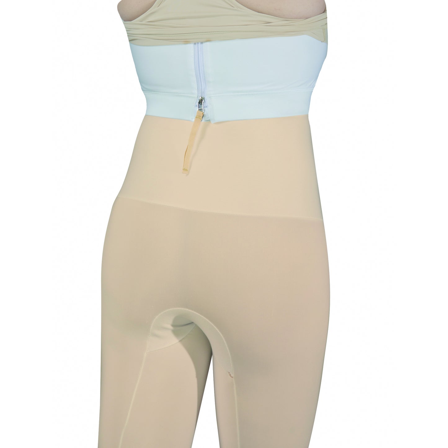 5-881905-back.jpg
