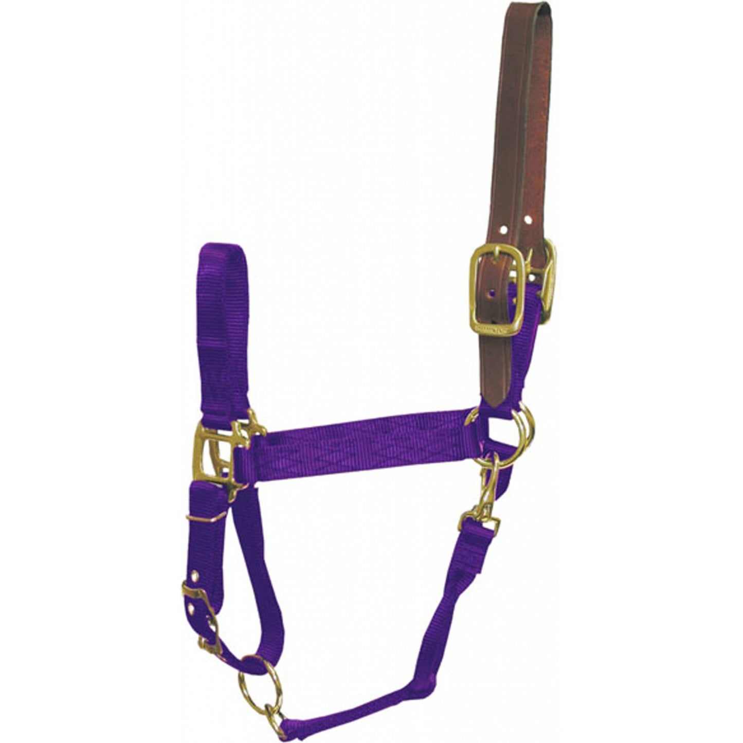 5-883363-purple.jpg