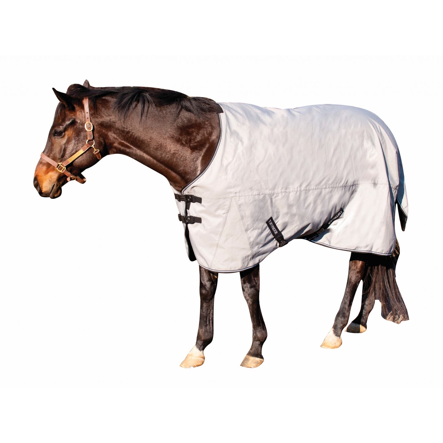 5-888624-frostgray.jpg