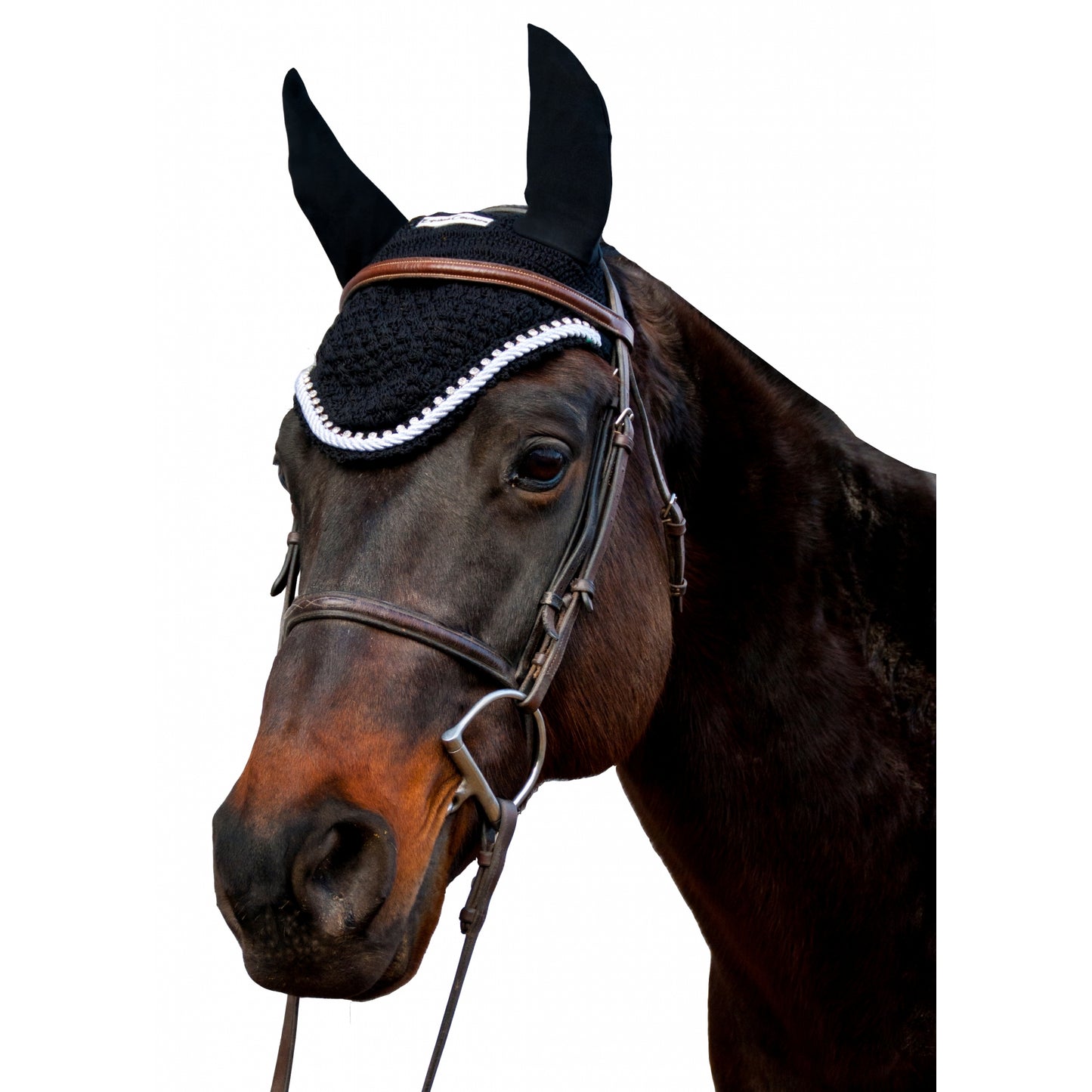 5-888662-black.jpg