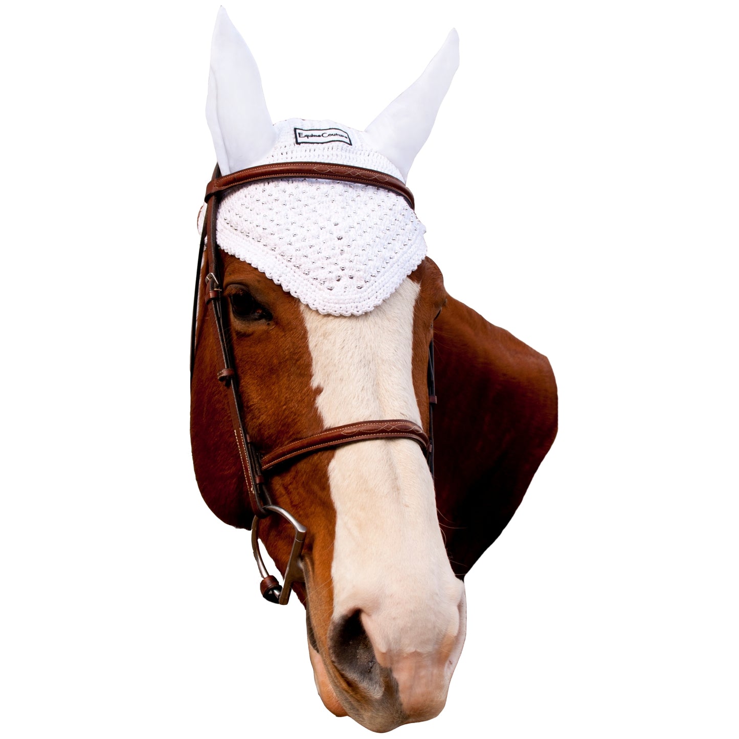 5-888692-white.jpg