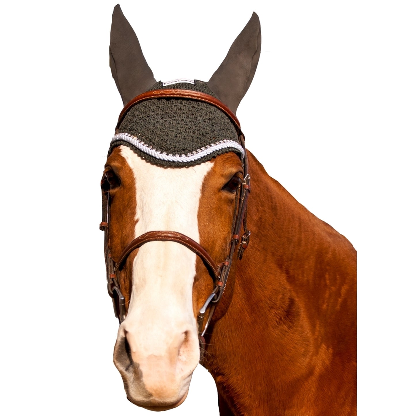 5-894671-darkcharcoalhorse.jpg
