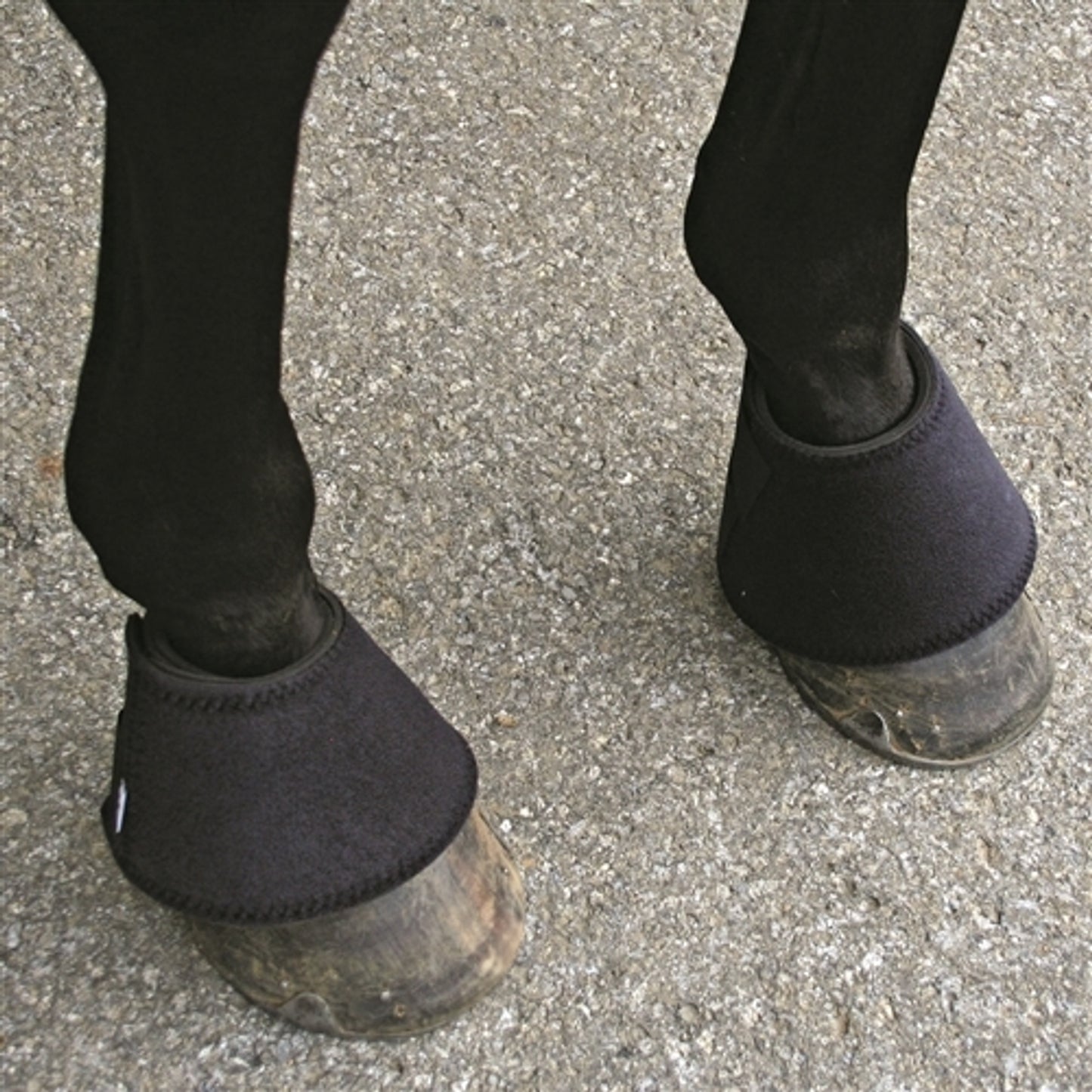 5-895268-black.jpg