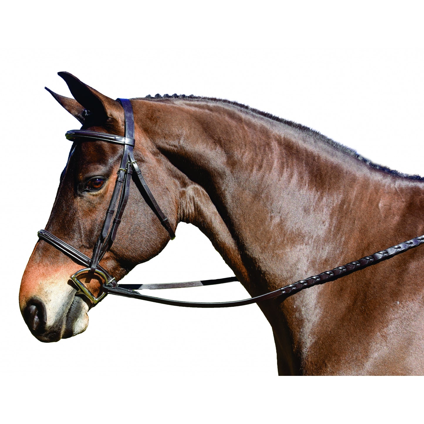 5-923401-cognac.jpg
