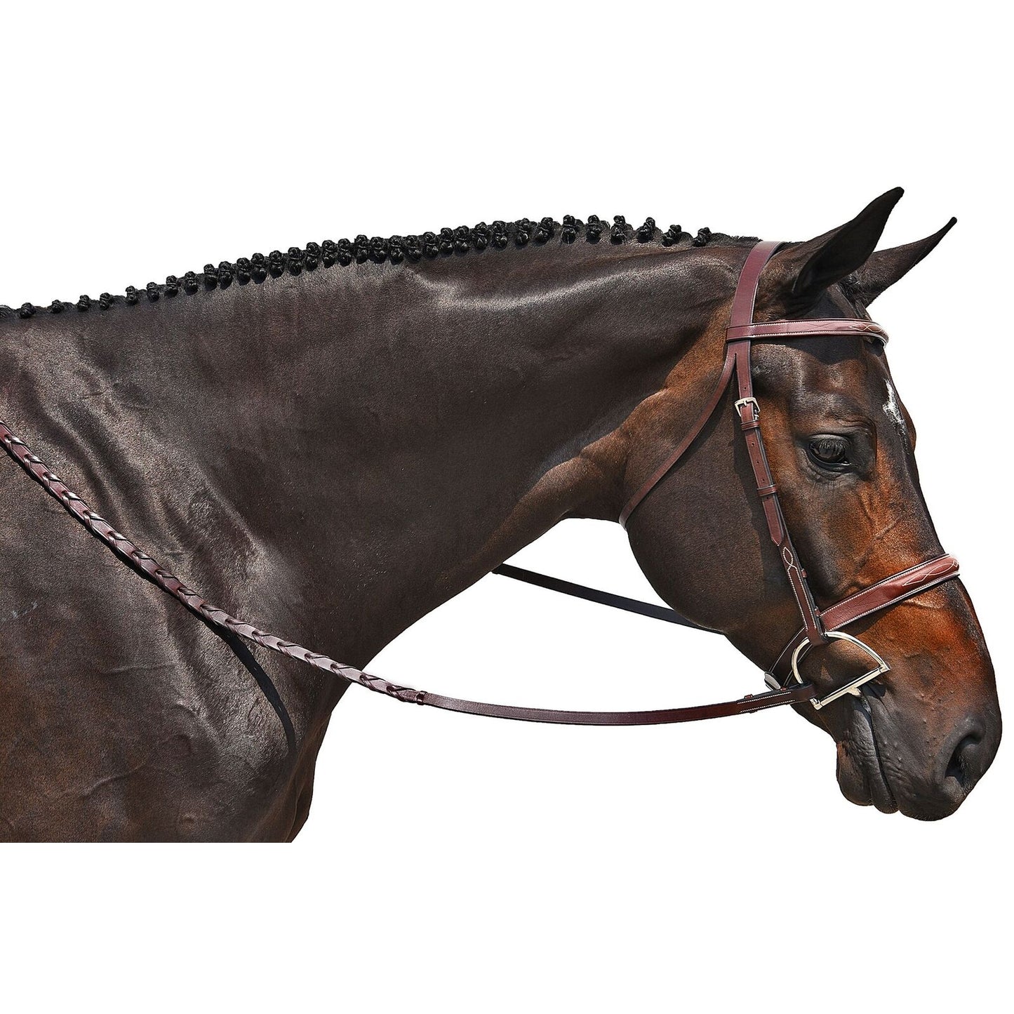 5-923422-handysnafflebridle.jpg