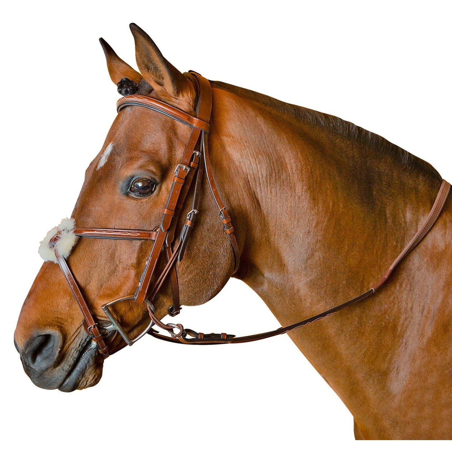 5-923445-trainingcognacchocolatepadding.jpg
