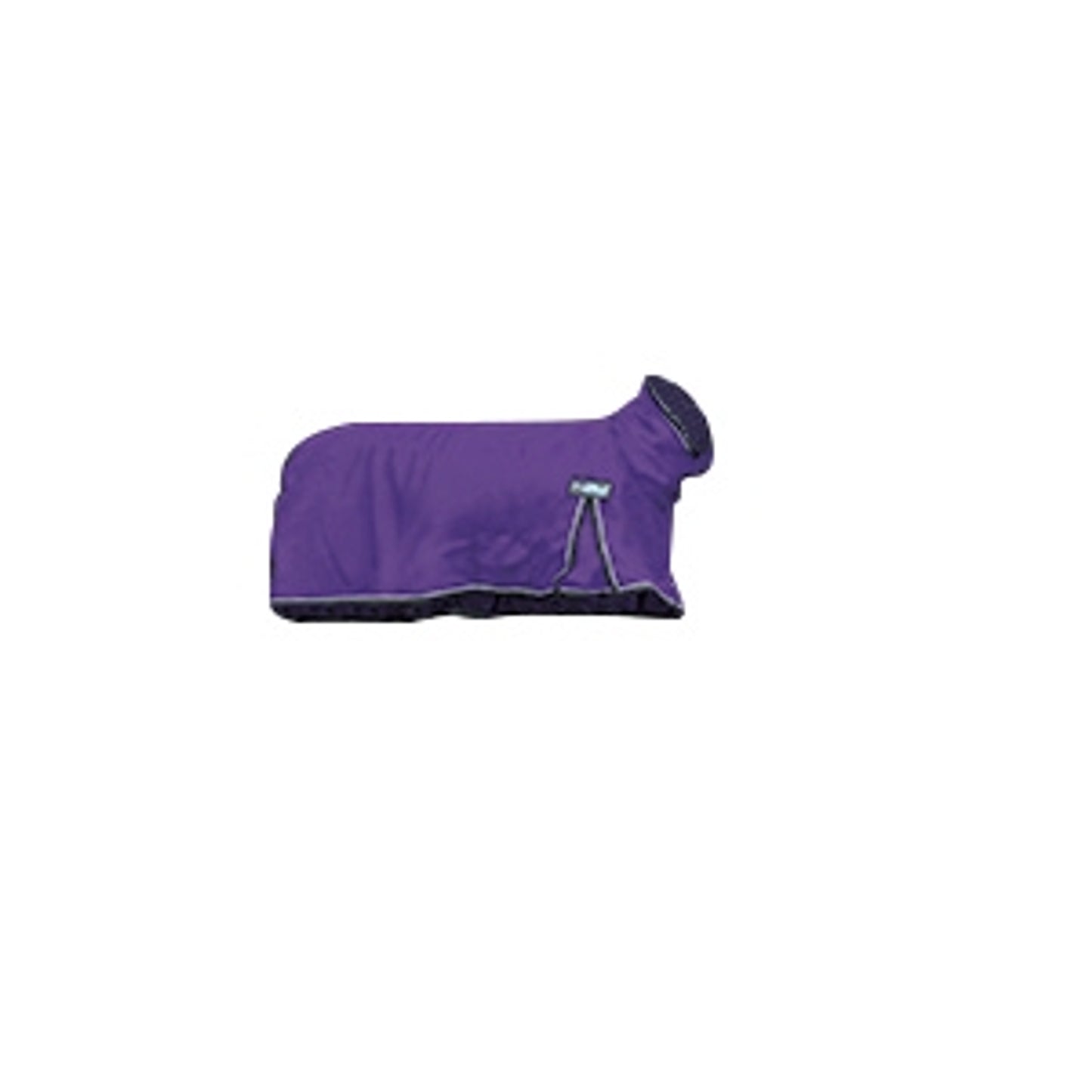 5-933234-purple.jpg