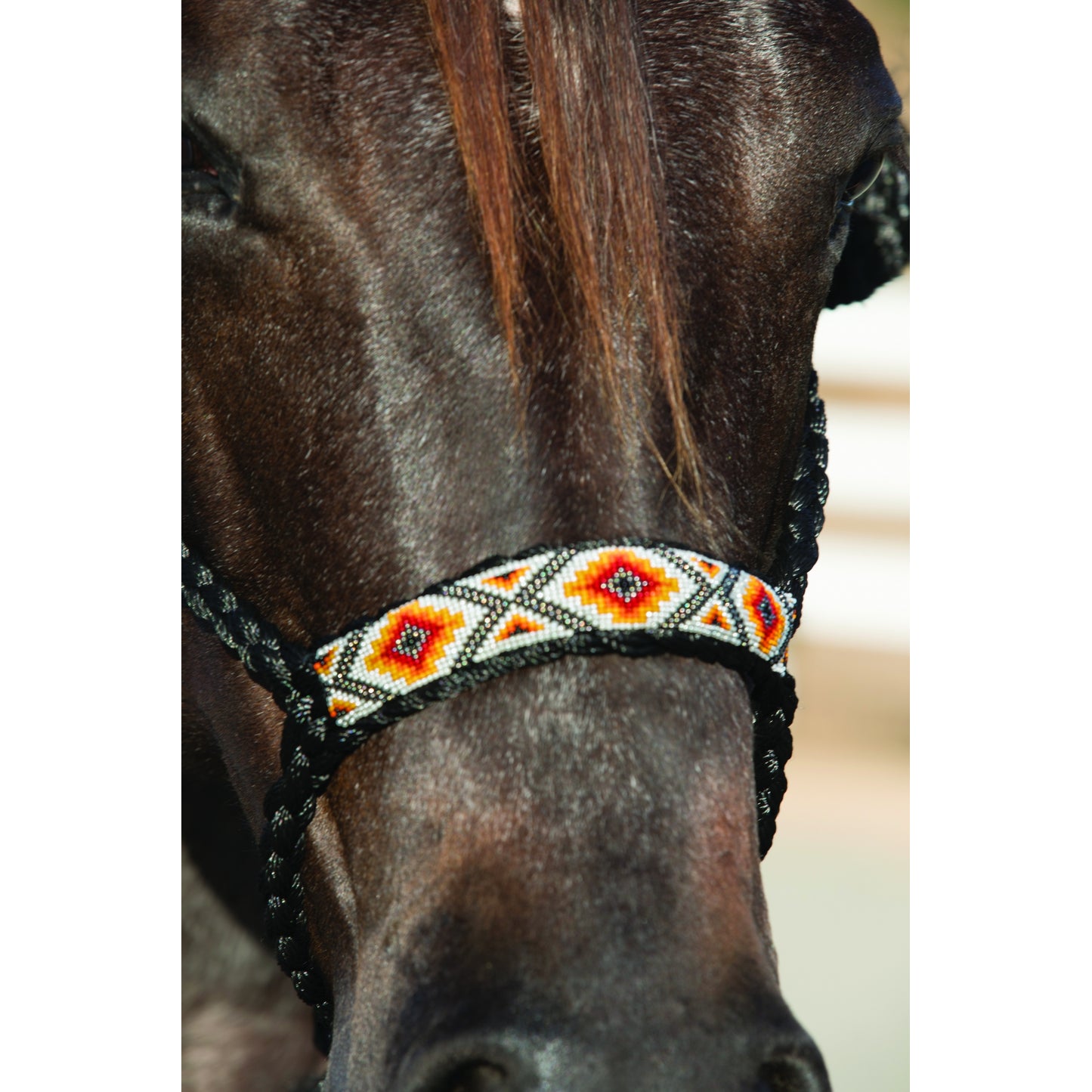 5-944024-blackorange.jpg