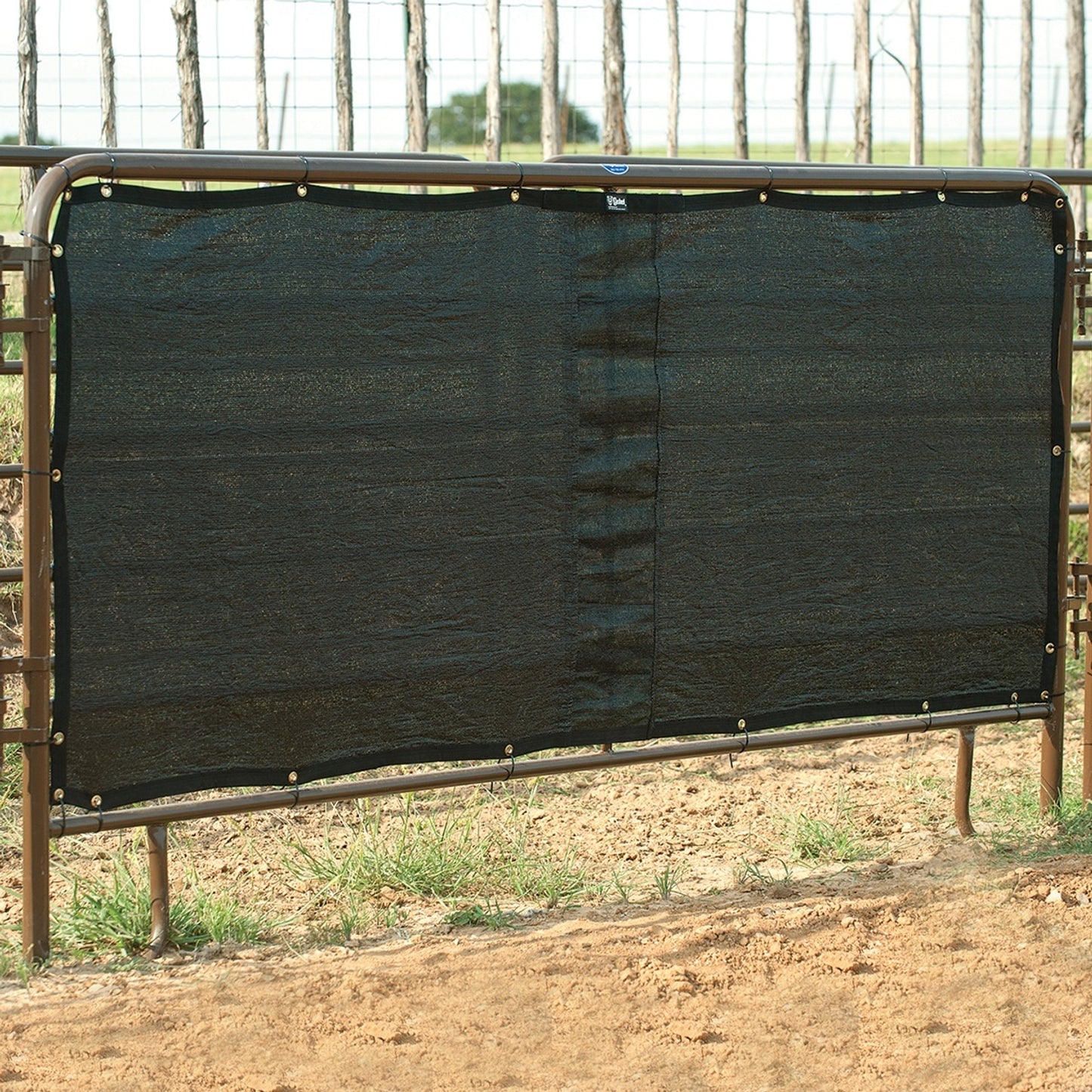 5-945727.jpg