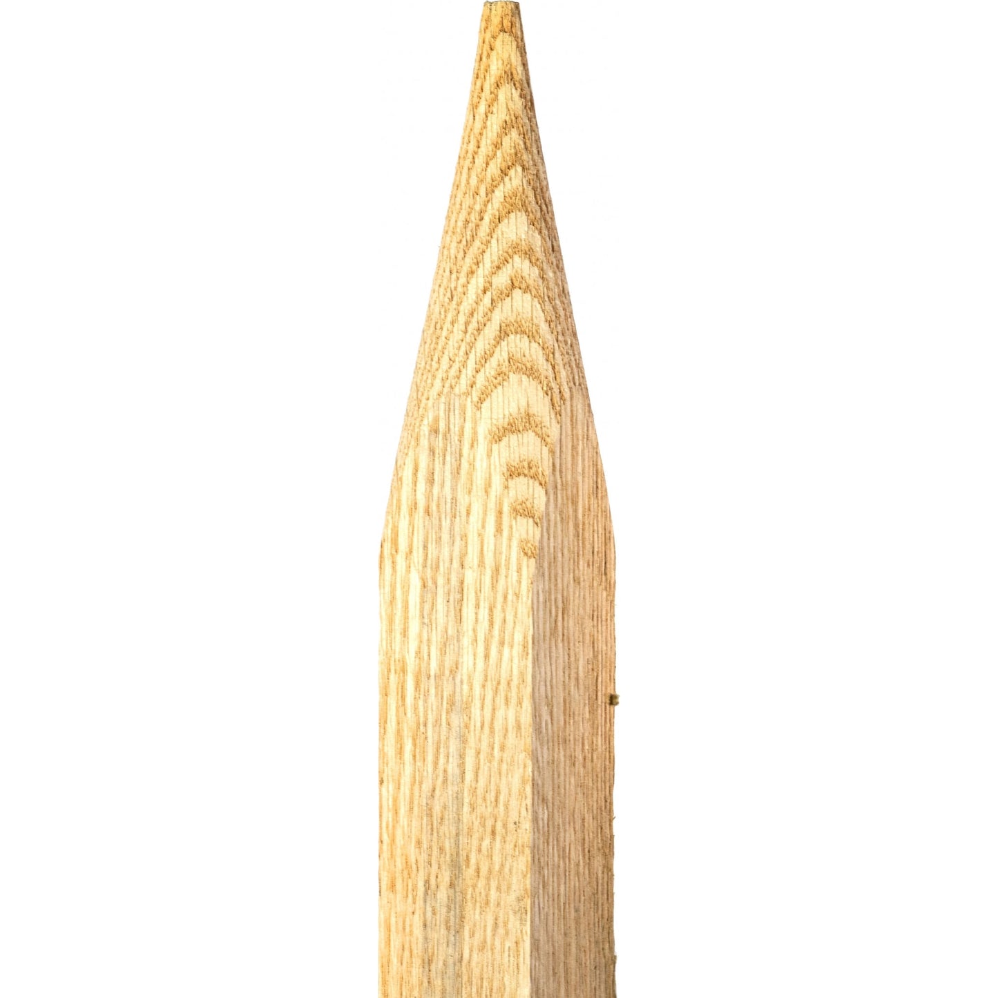 5-966125-1.jpg