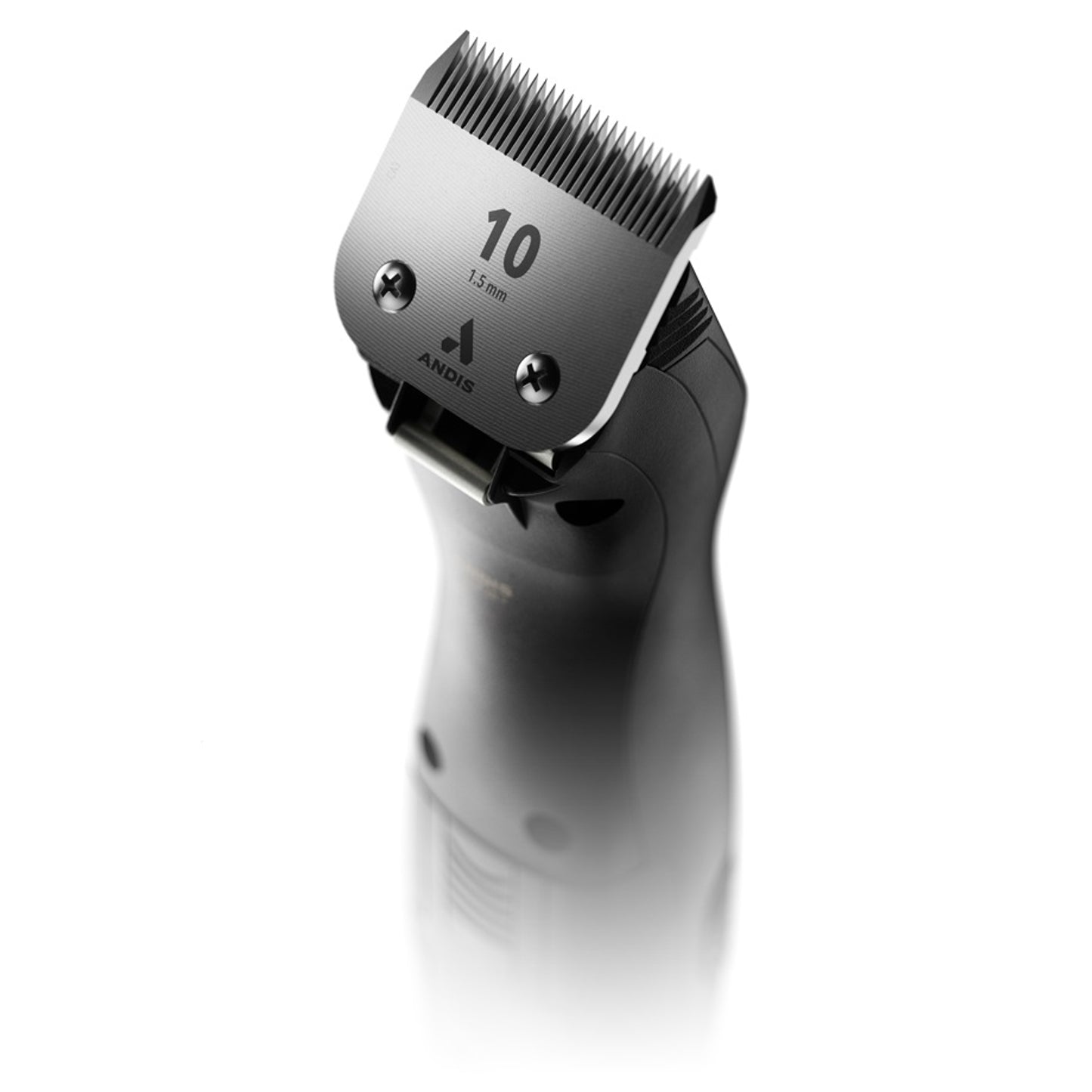 5-966722-d.jpg