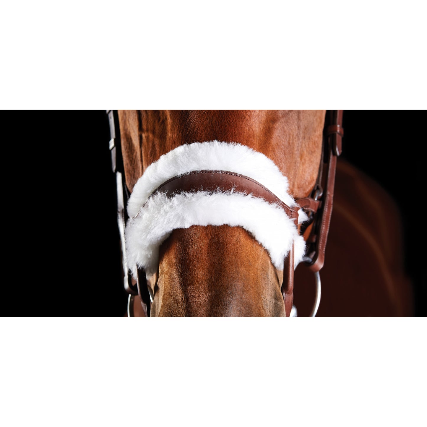 5-970578-brown-nb.jpg