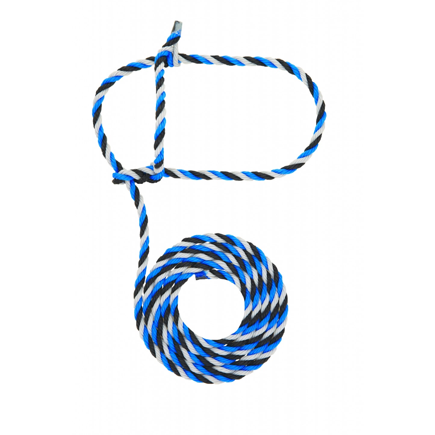 5-977690.jpg
