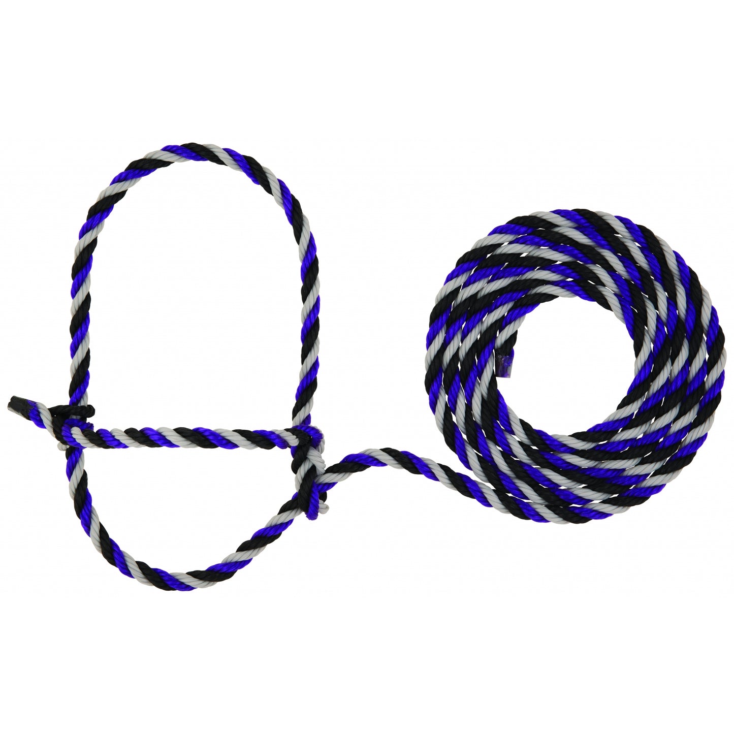 5-977691.jpg