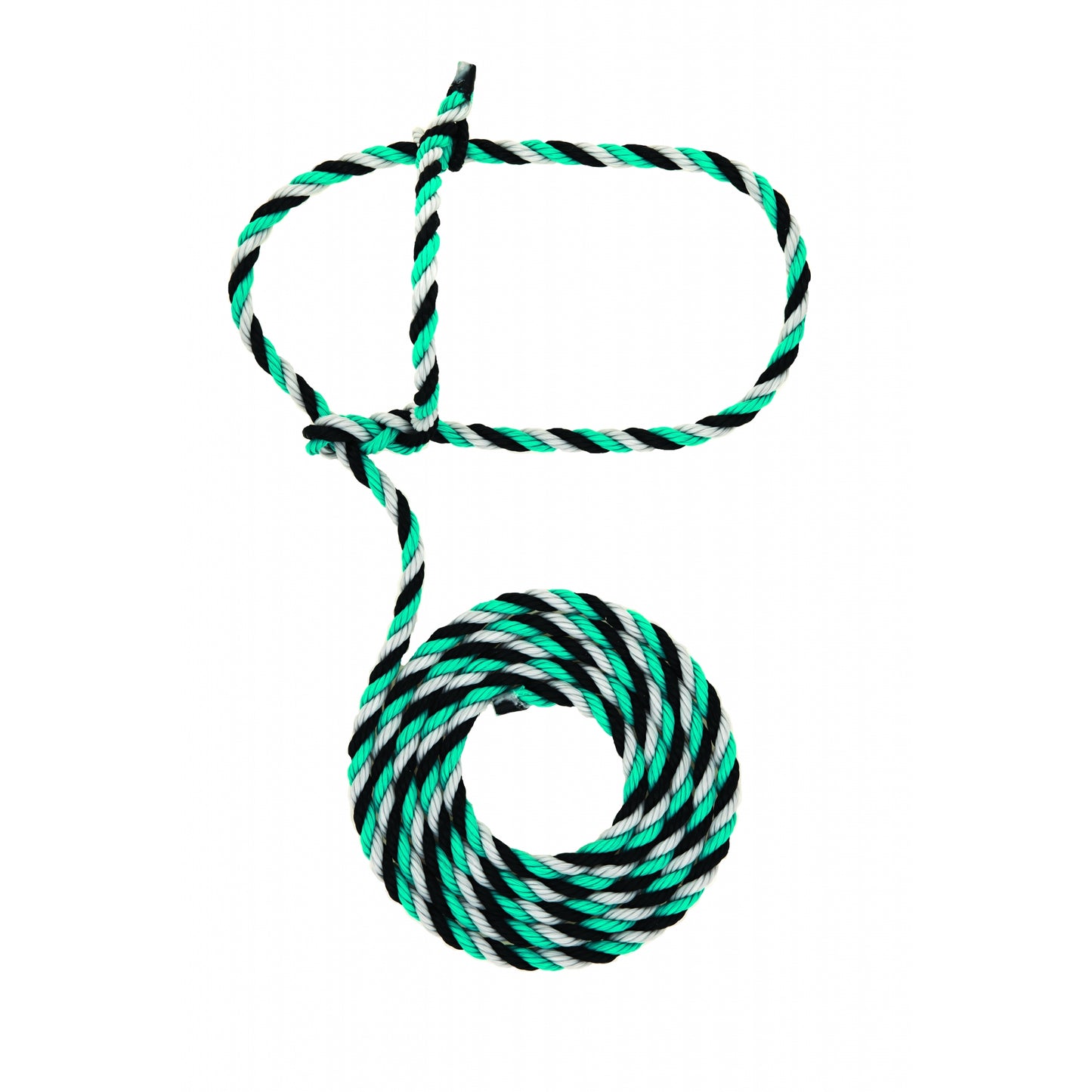 5-977693.jpg