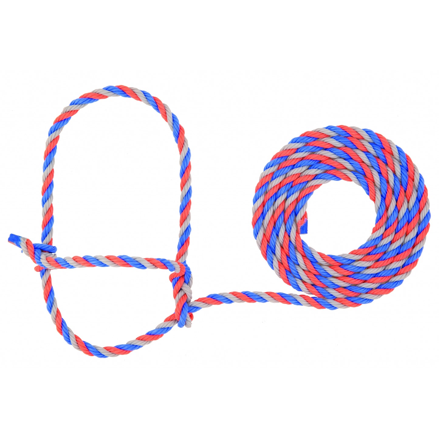 5-977695.jpg