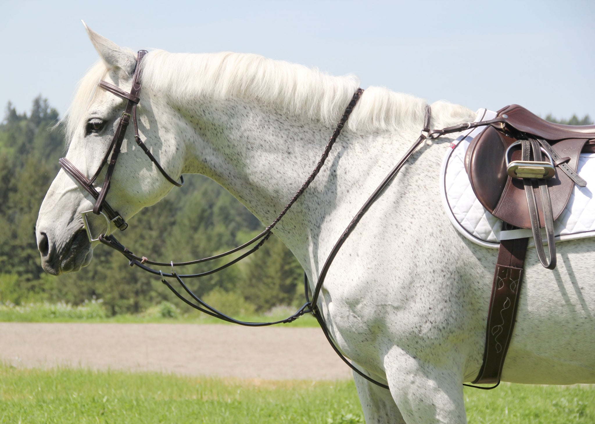 Silverleaf Plain Breastplate With Running