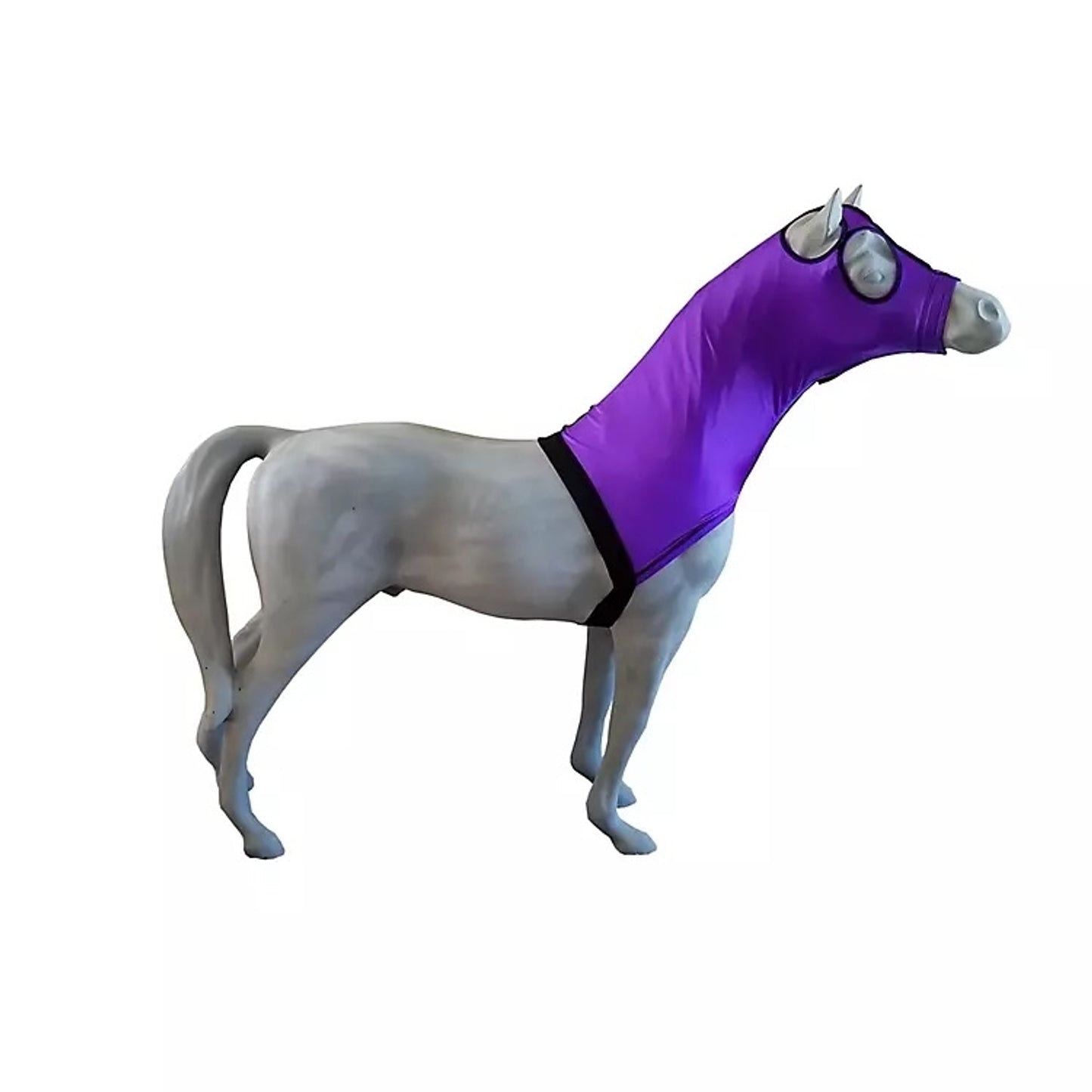 6-212144.jpg