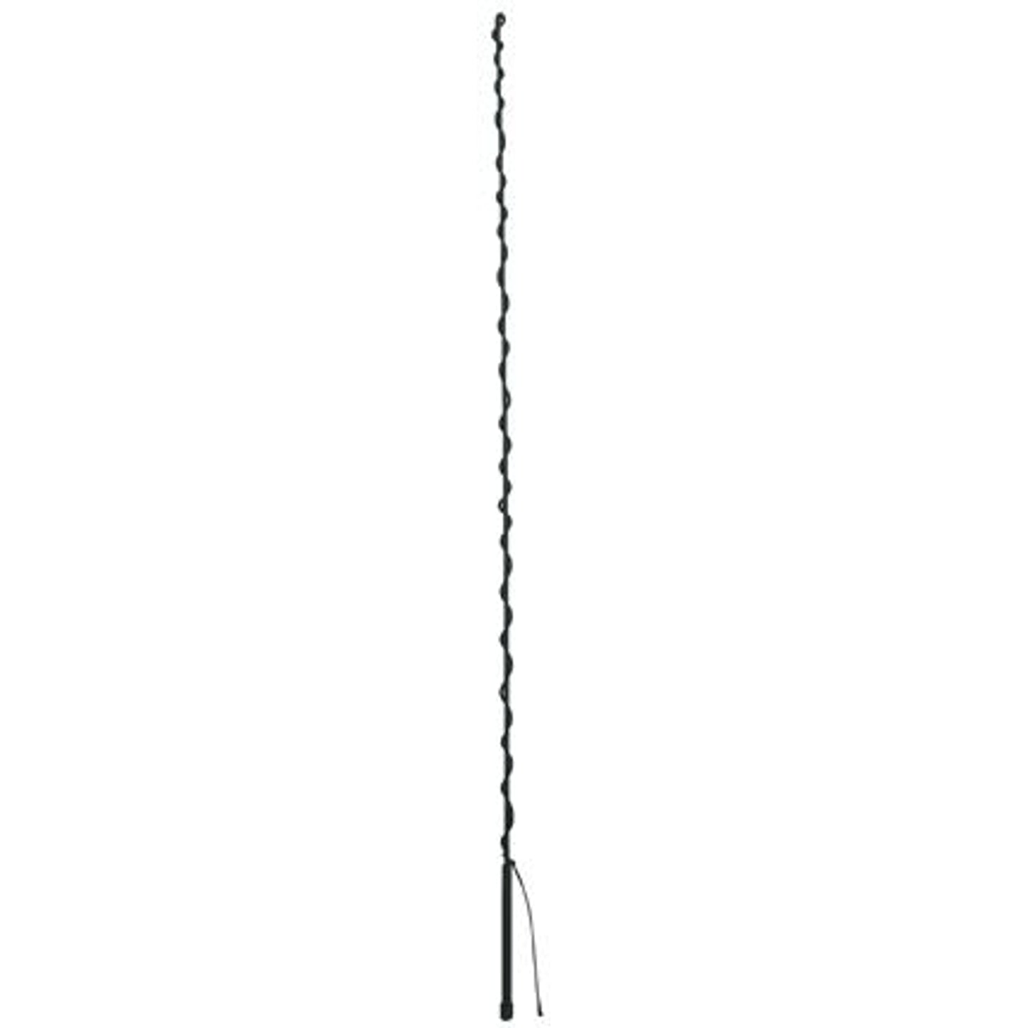655105_black.jpg