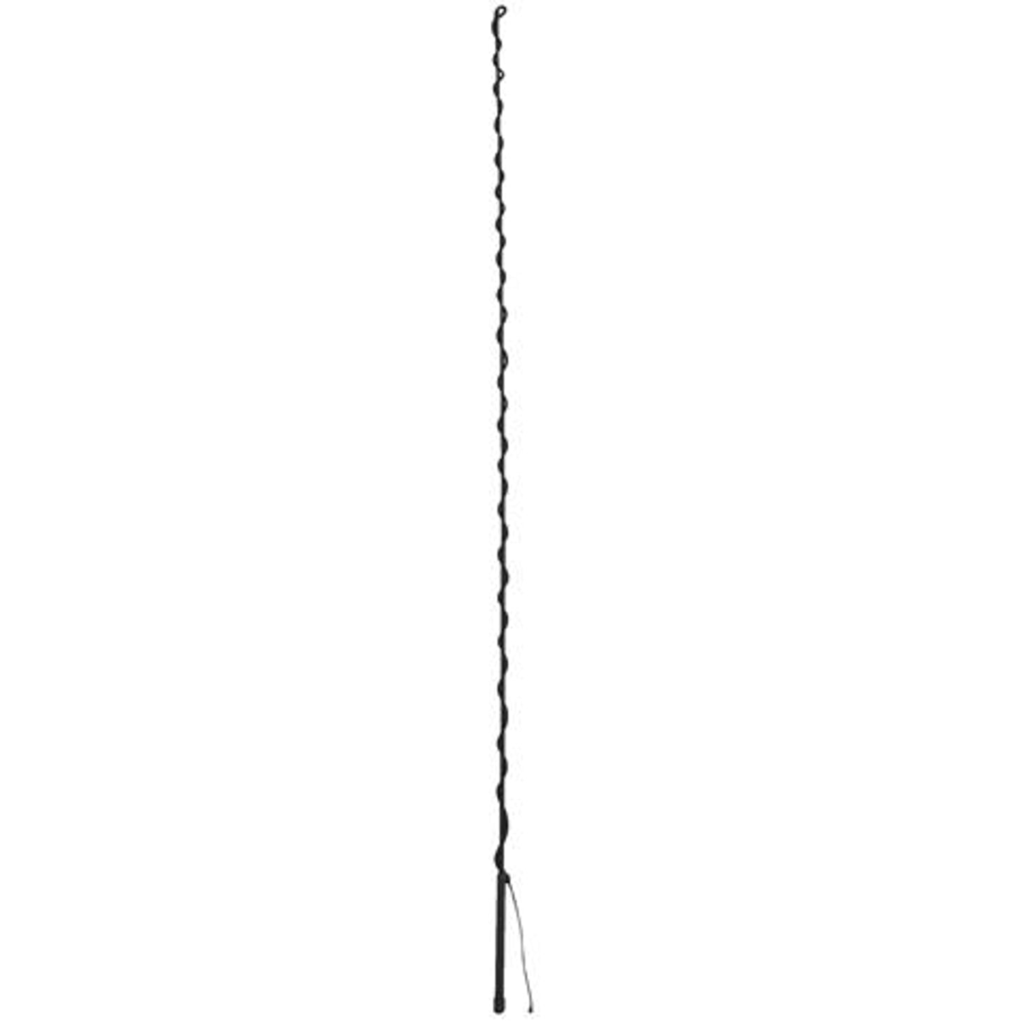 655106_black.jpg