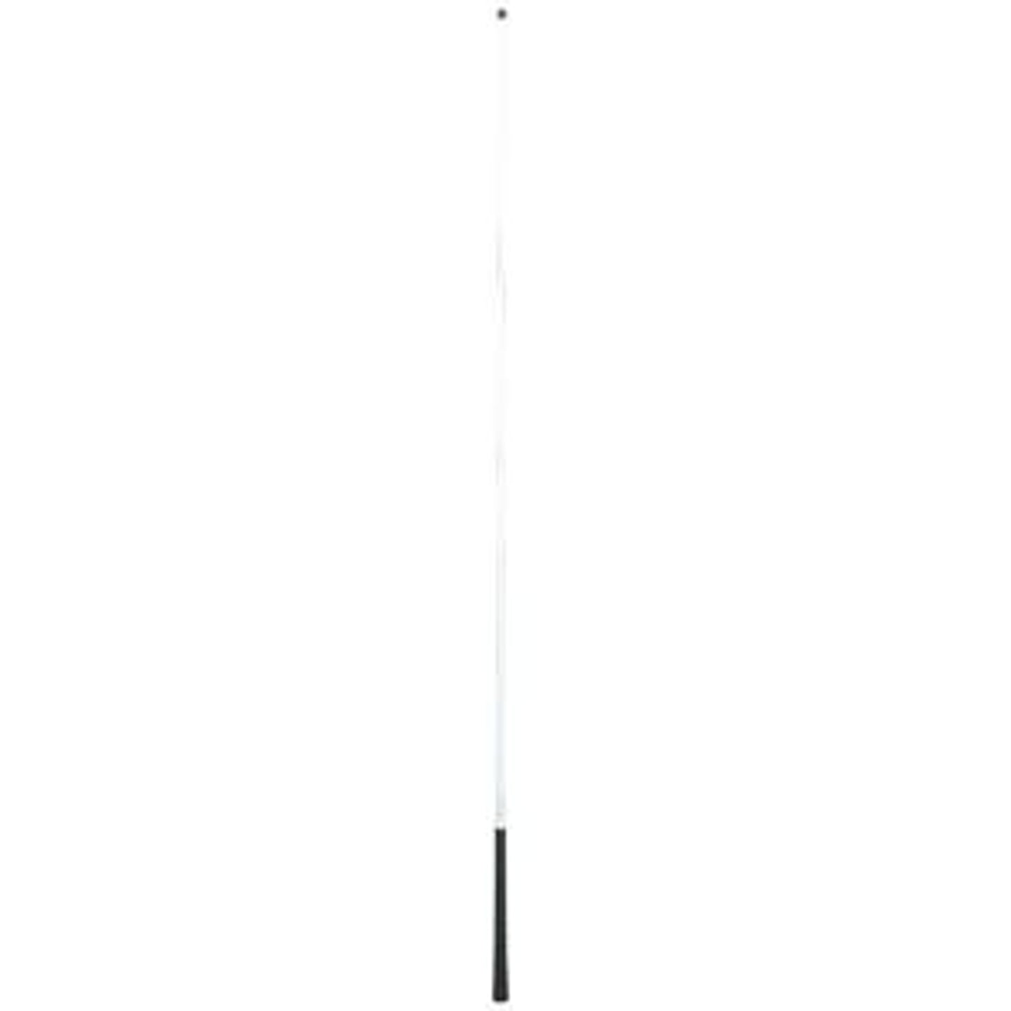 655136_white.jpg