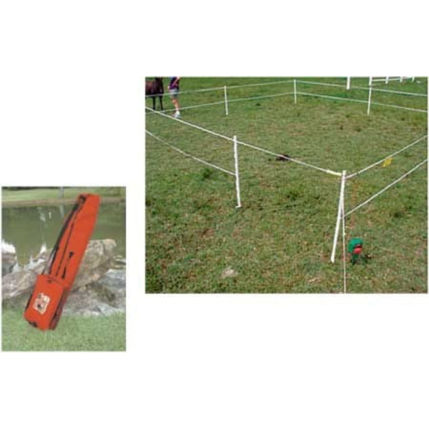 BXW13.jpg