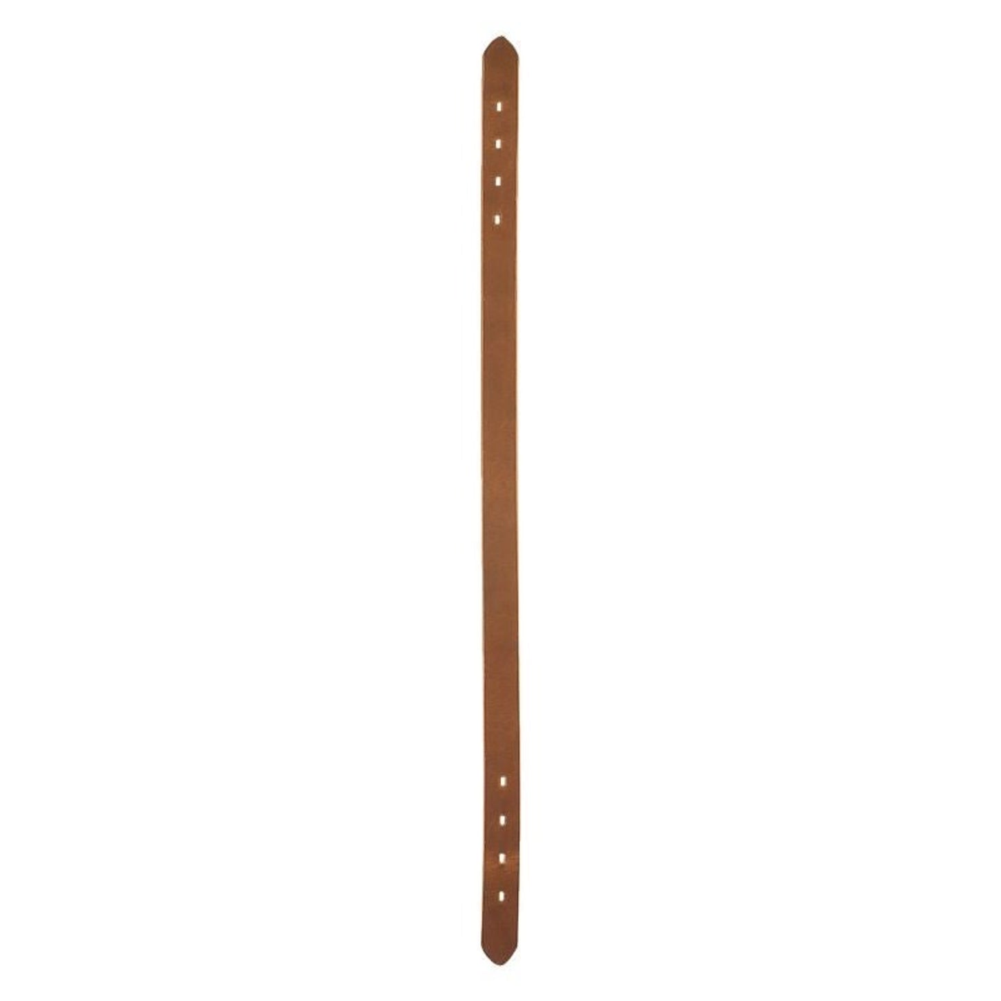 TE001018.jpg