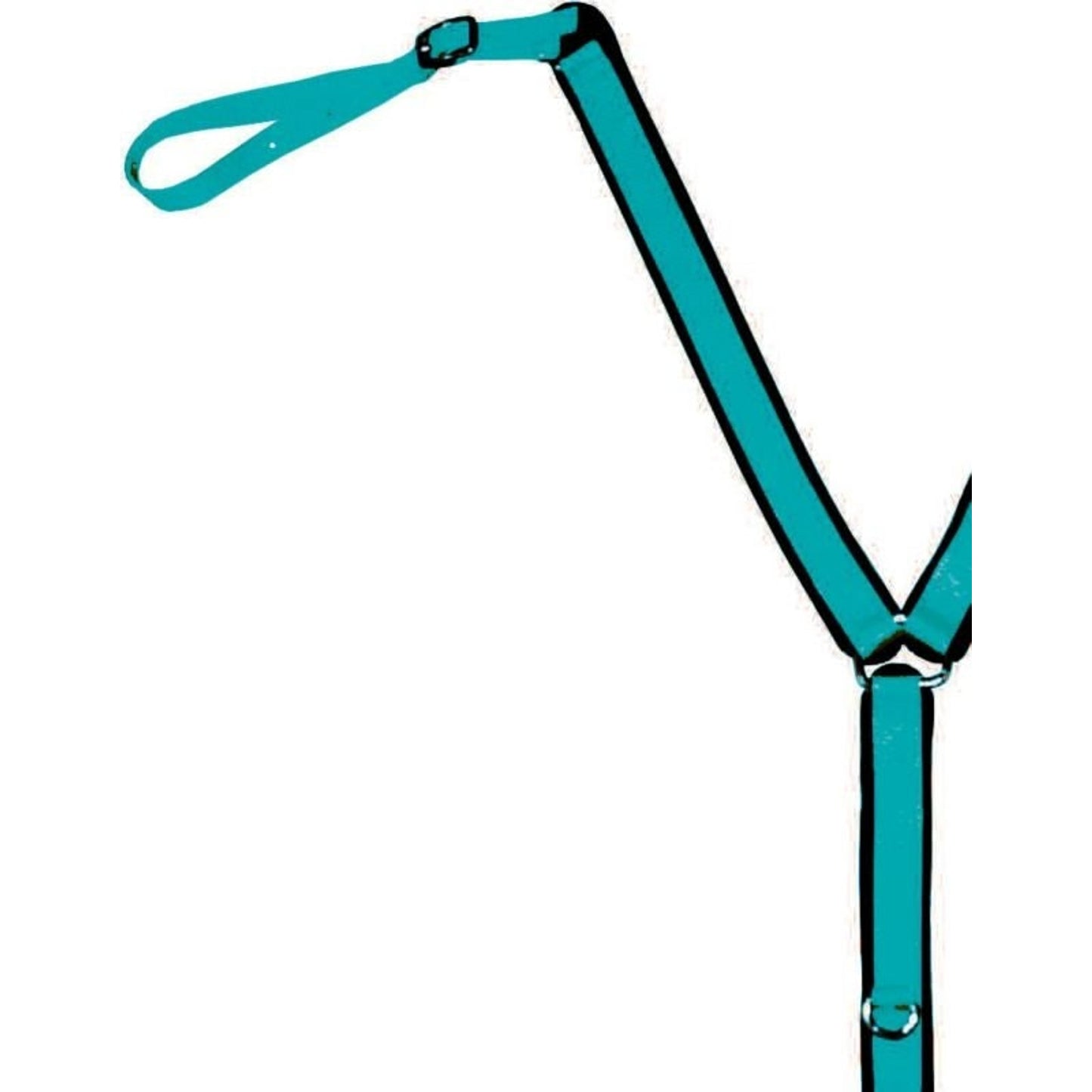 TE001677_225974.jpg