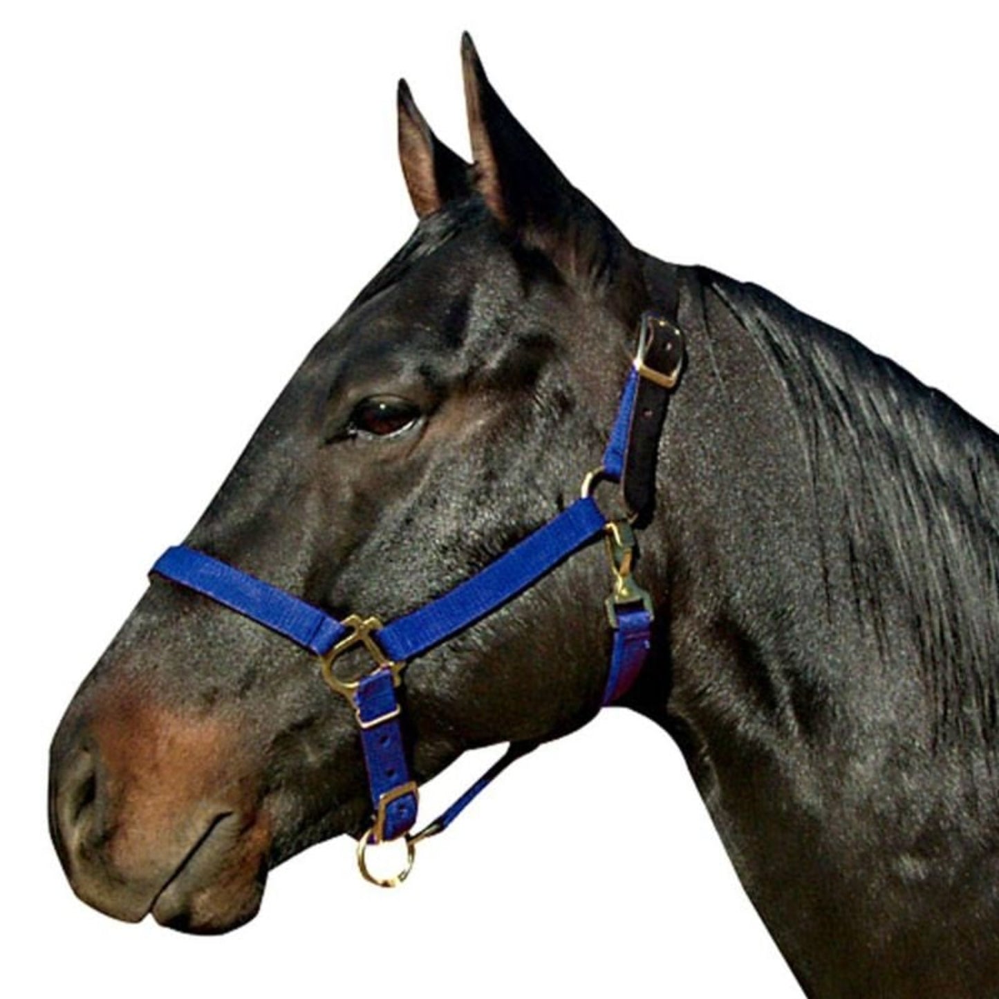 TE002567_737970.jpg