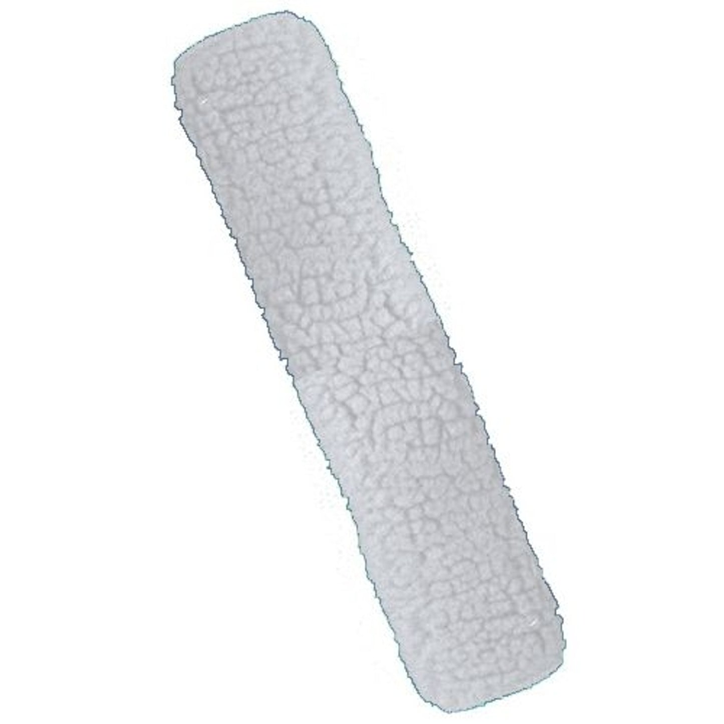 TE003904_246303.jpg