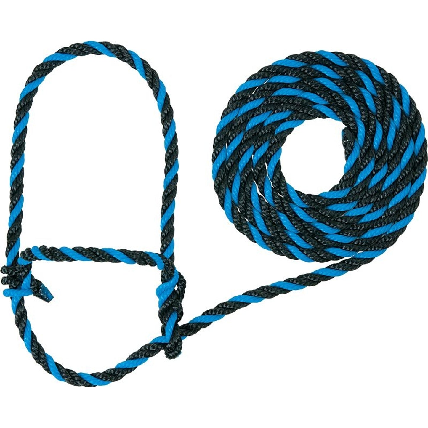 TE011878.jpg