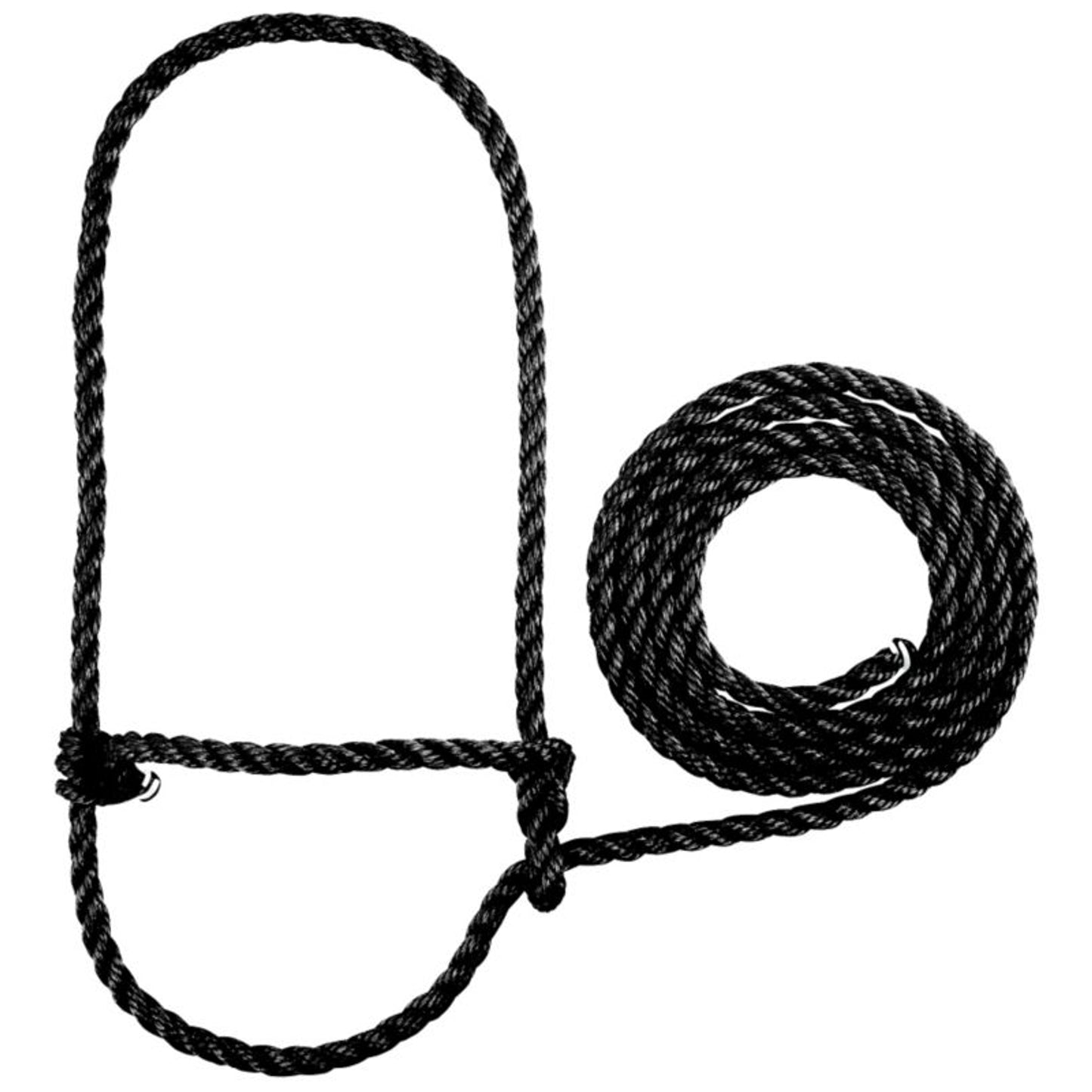 TE011878_430921_01.jpg