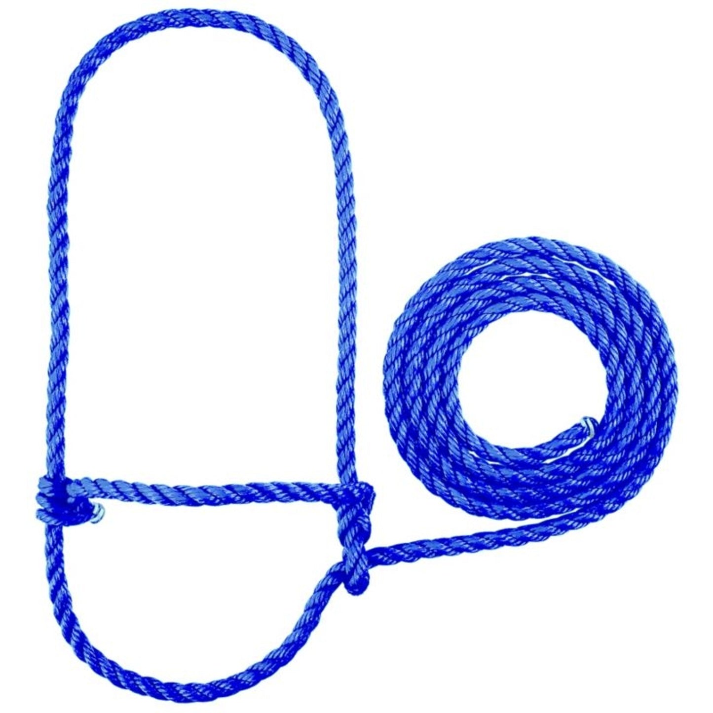 TE011878_430922_01.jpg