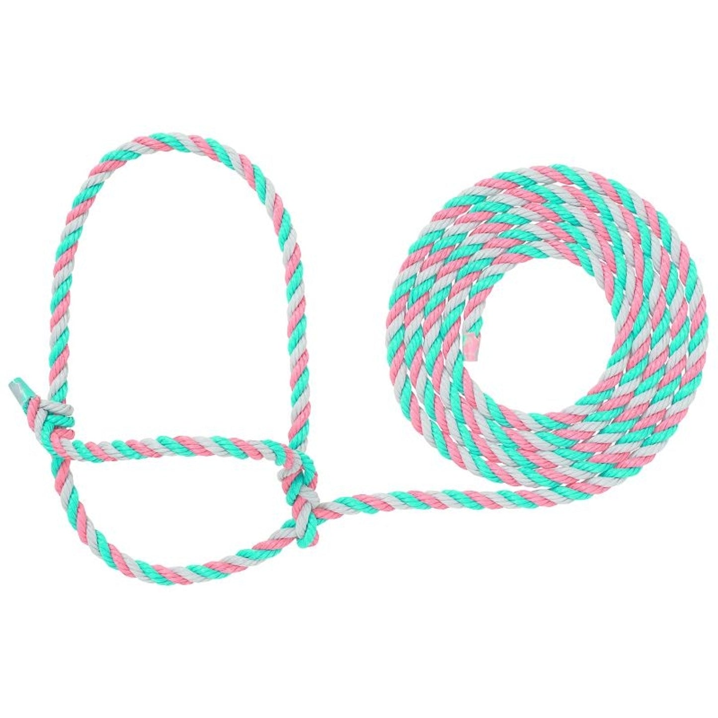 TE011878_588441_01.jpg