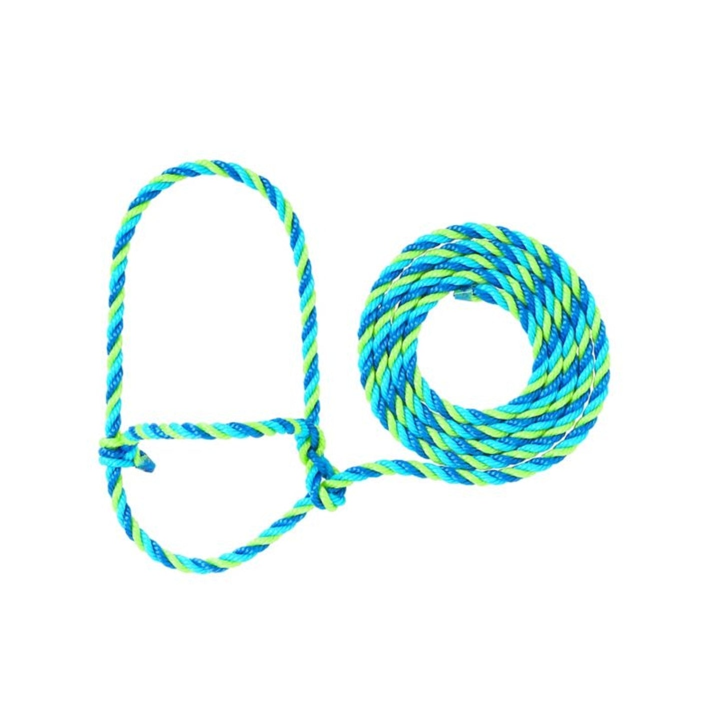 TE011878_609570_01.jpg