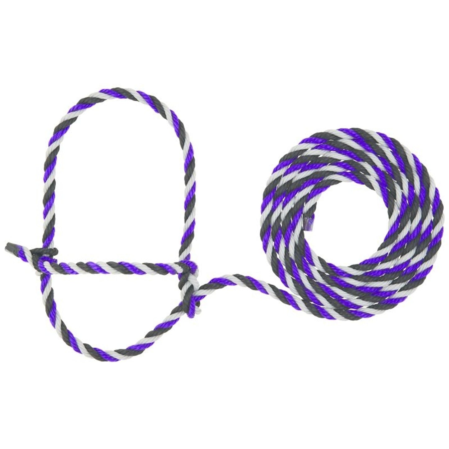 TE011878_766957_01.jpg