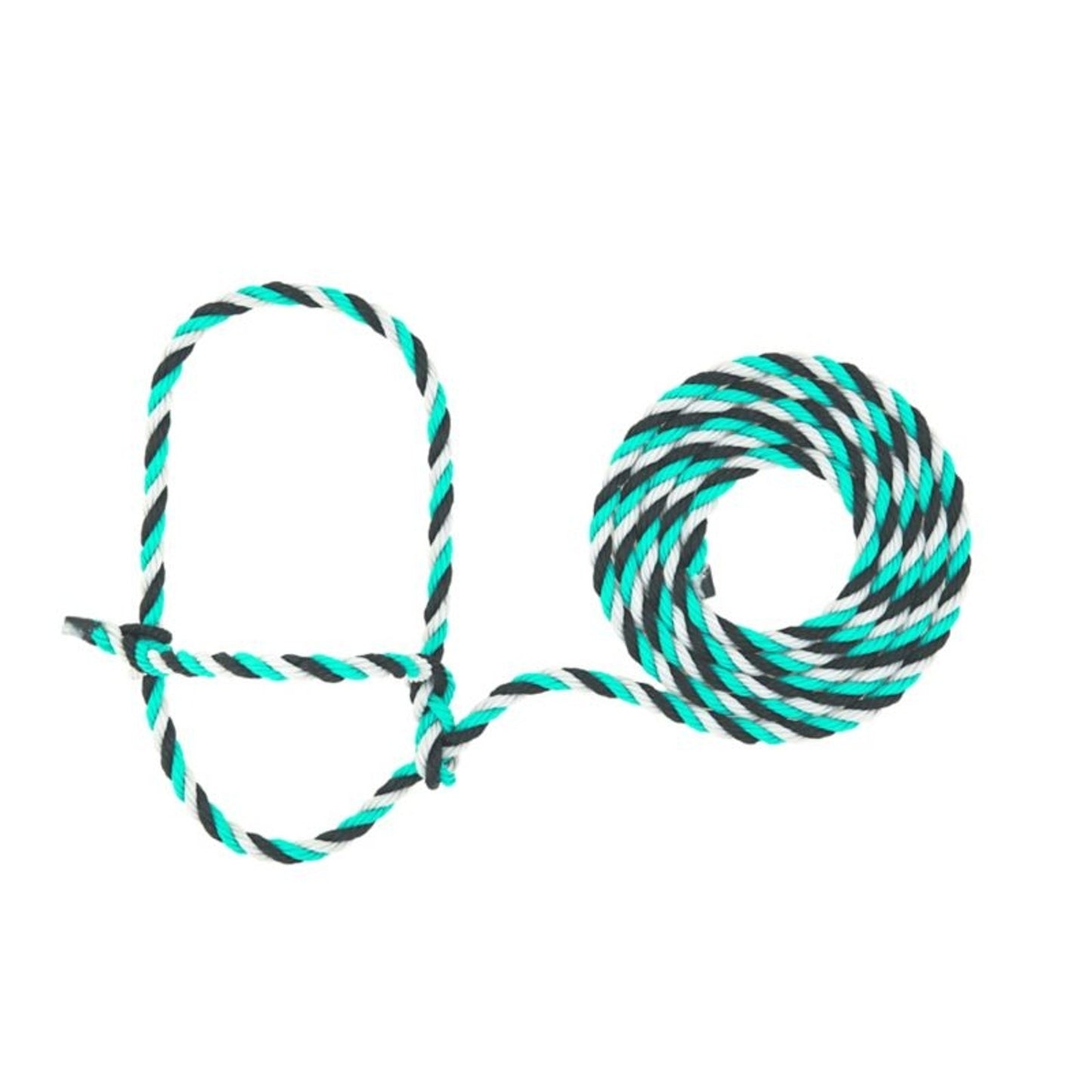 TE011878_766959_01.jpg