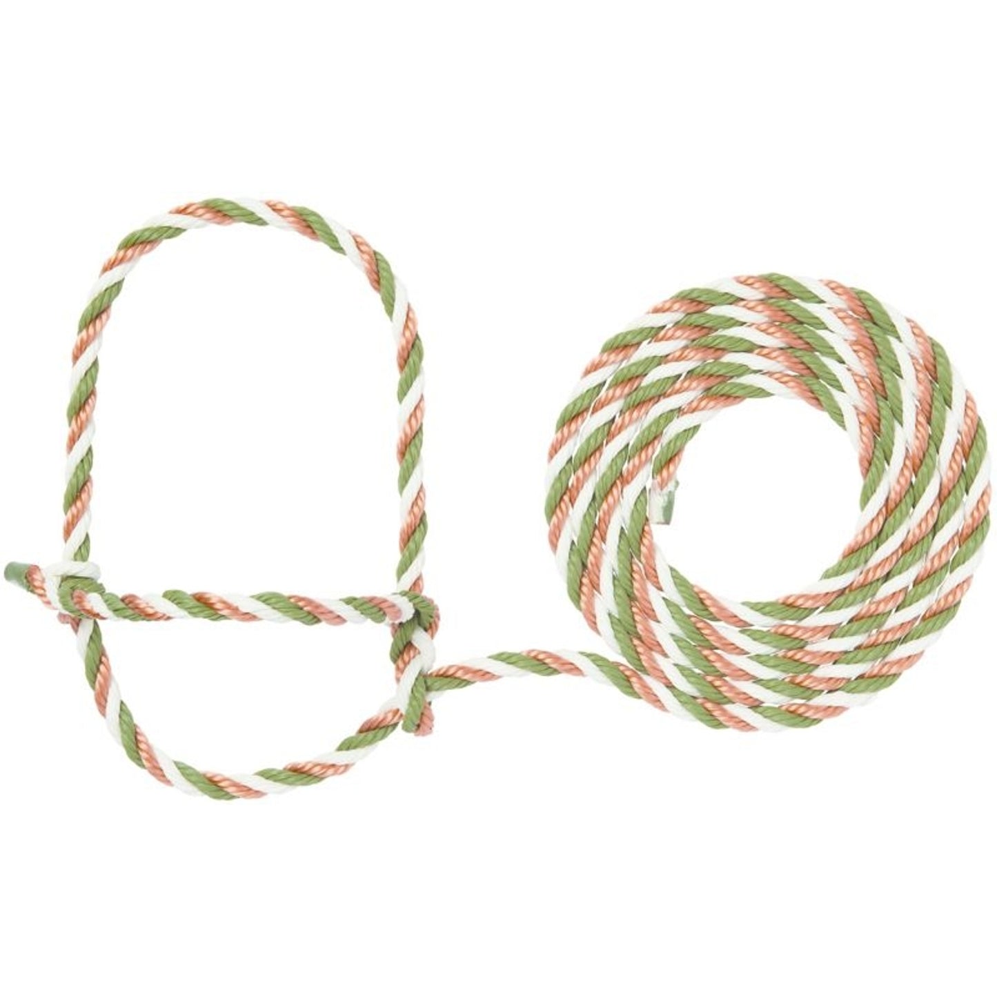 TE011878_919564_01.jpg