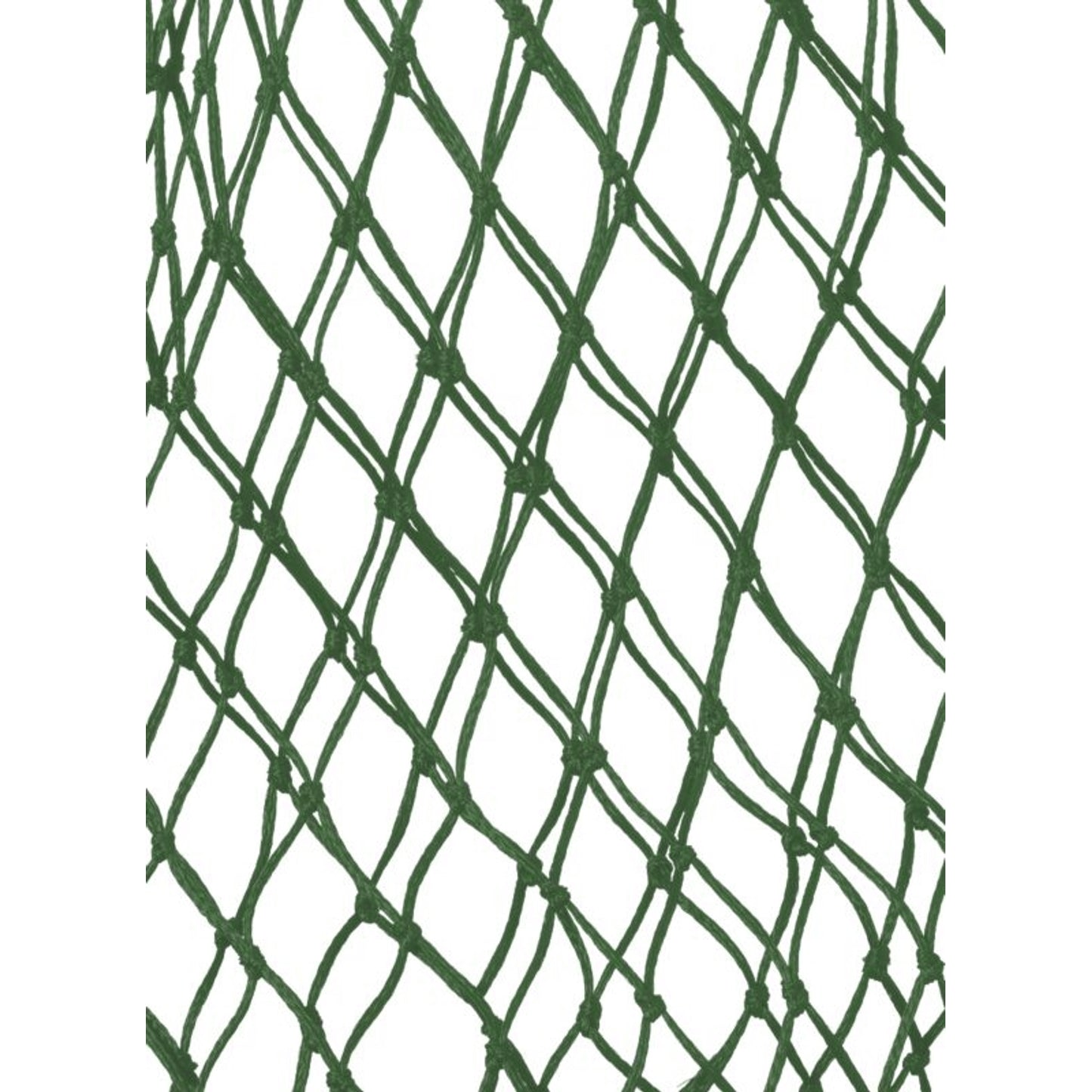 TE015626_474836_01.jpg