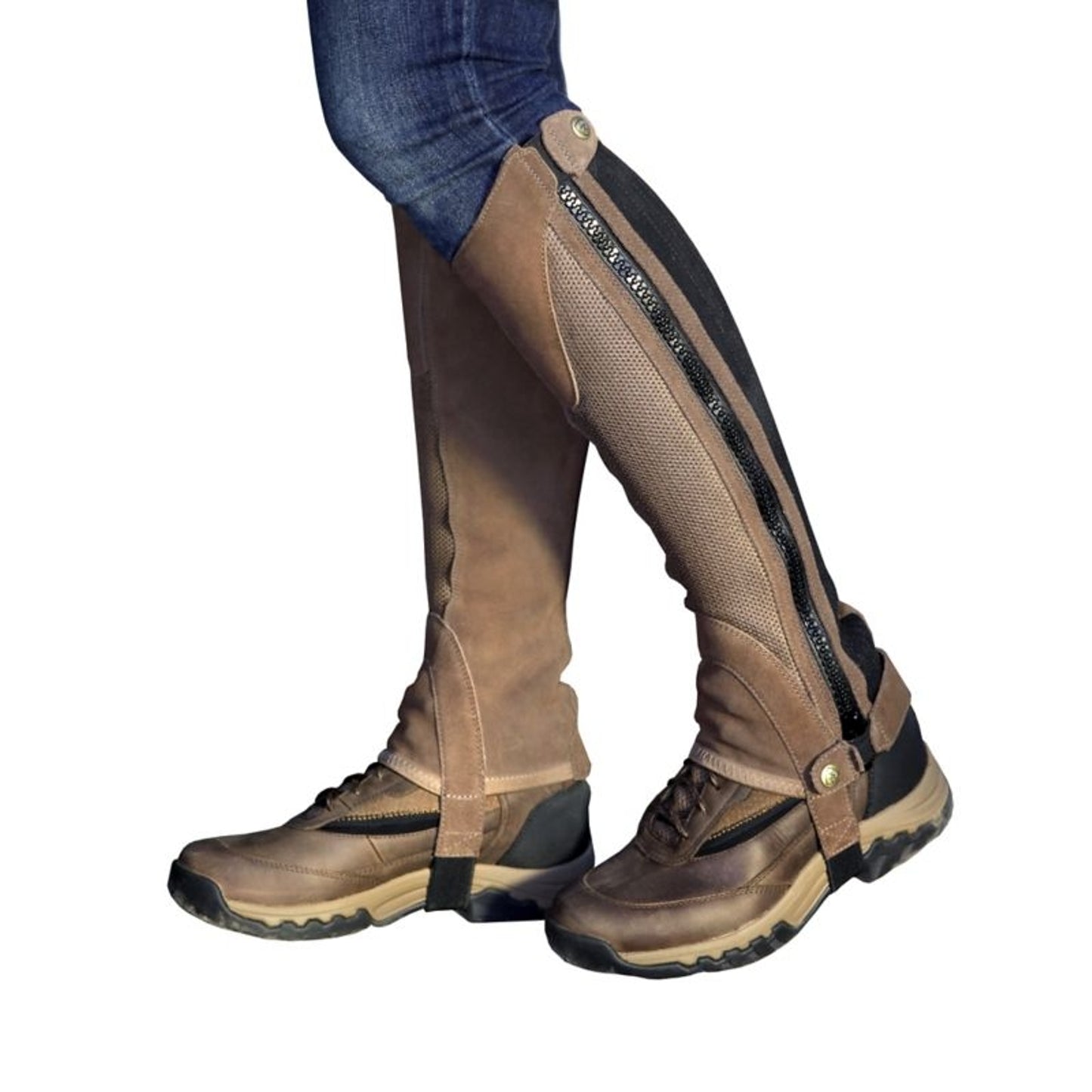 TE015801_P_WO.jpg