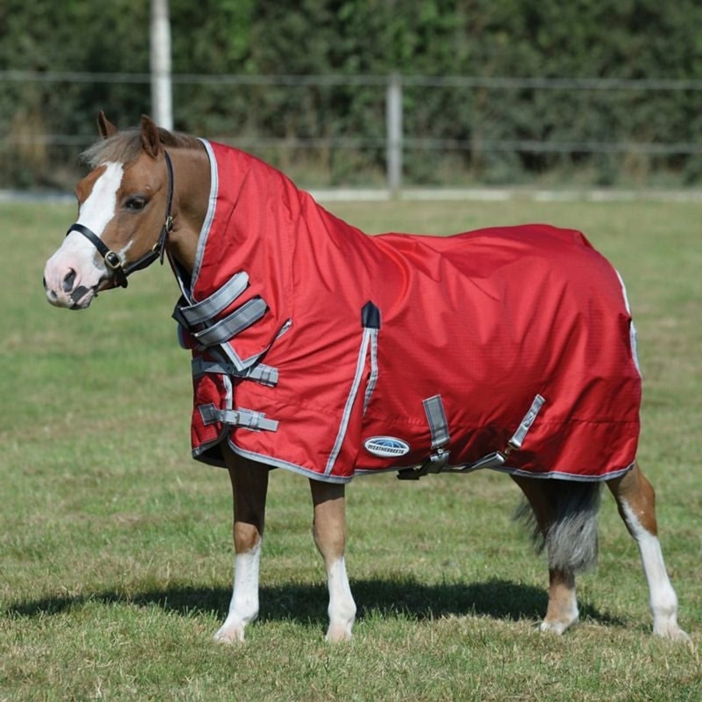 TE023753_RED_03.jpg