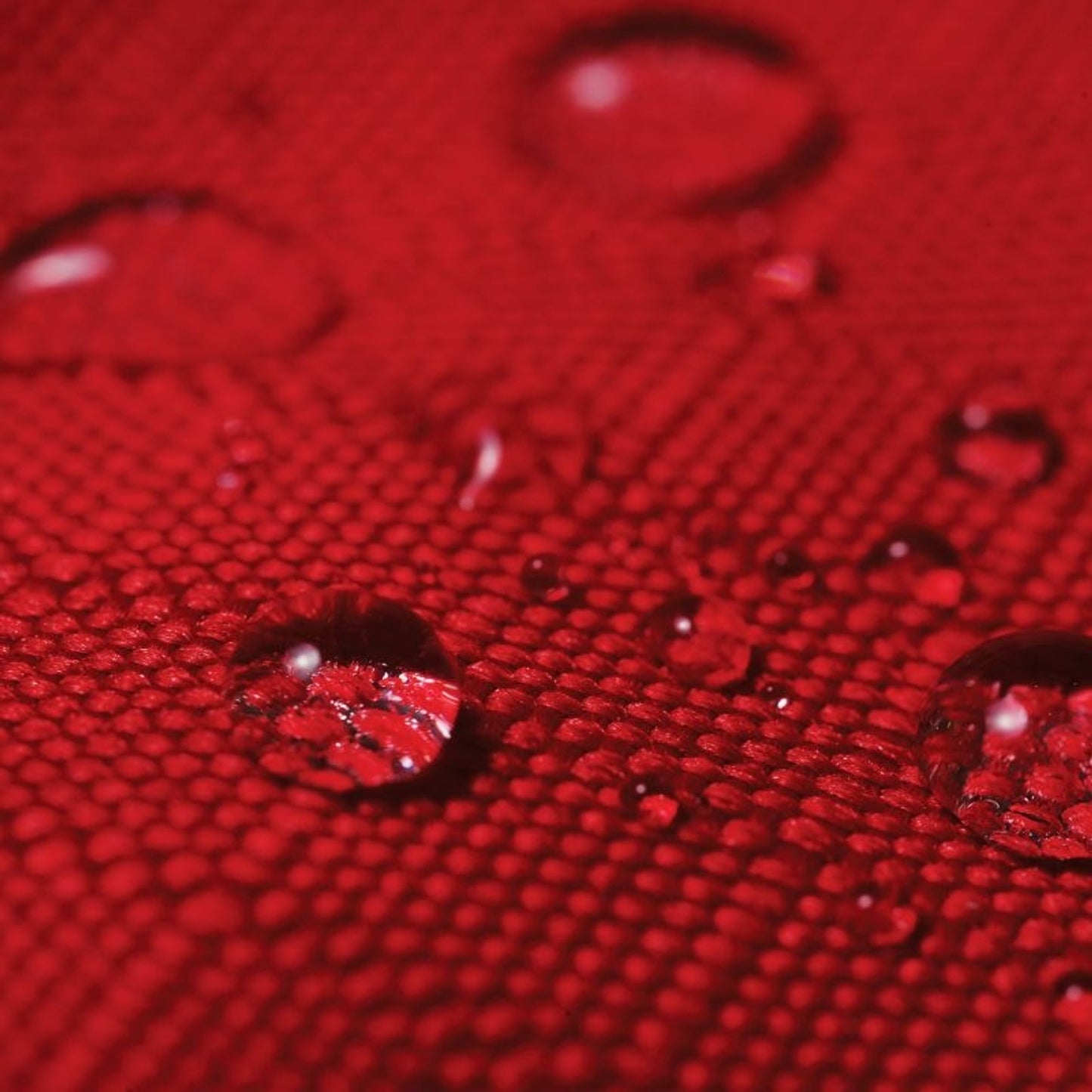 TE023755_RED_03.jpg